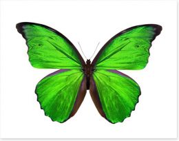 Emerald butterfly Art Print 63762173