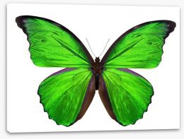 Emerald butterfly Stretched Canvas 63762173
