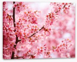 Cherry blossom Sakura Stretched Canvas 63794616