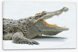 Reptiles / Amphibian Stretched Canvas 63961873