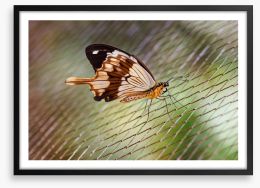 Insects Framed Art Print 64184311