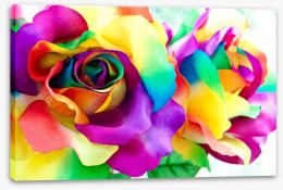 Rainbow roses Stretched Canvas 64237110