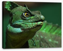 Reptiles / Amphibian Stretched Canvas 64296522