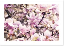 Vintage magnolia Art Print 64398802