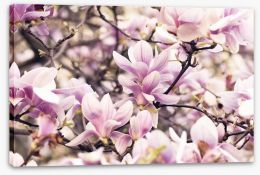 Vintage magnolia Stretched Canvas 64398802