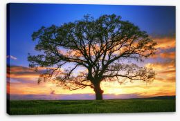 Sunset tree silhouette Stretched Canvas 64519643