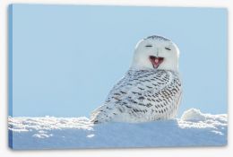 Smiling snowy owl Stretched Canvas 64588759