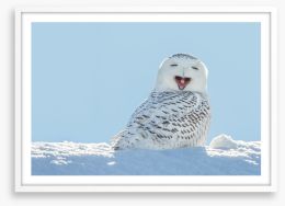 Smiling snowy owl Framed Art Print 64588759