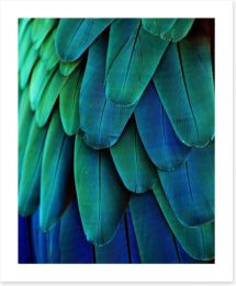 Macaw feathers Art Print 64649675