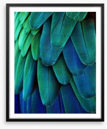 Macaw feathers Framed Art Print 64649675