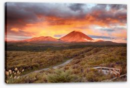 New Zealand Stretched Canvas 64767773