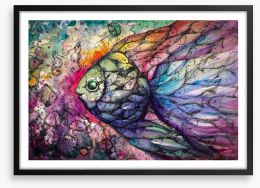 Rainbow fishes Framed Art Print 64798480