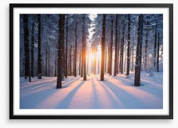Snowy forest sunrise Framed Art Print 64819783