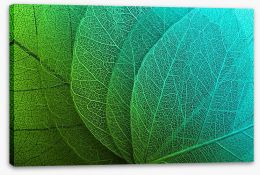 Macro leaves Stretched Canvas 64850582
