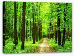 Dazzling forest Stretched Canvas 64968357