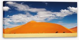 Desert Stretched Canvas 6500864
