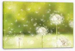 Blowball dandelions Stretched Canvas 65187814