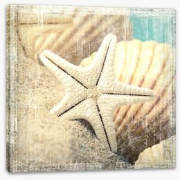 Shells and starfish Stretched Canvas 65708712