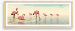 Pink flamingo flock