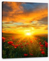 Poppy heaven Stretched Canvas 65740563