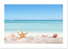 Summer beach with shells Art Print 66245323