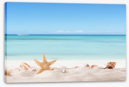 Summer beach with shells Stretched Canvas 66245323