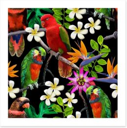 Exotic birds and frangipani Art Print 66434513