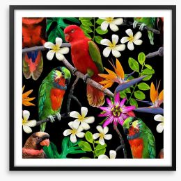 Exotic birds and frangipani Framed Art Print 66434513