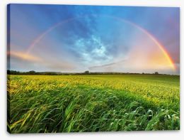 Rainbows Stretched Canvas 66581409