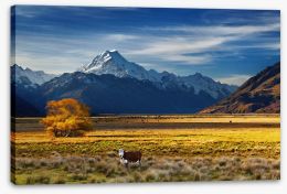 Under the shadow of Mount Cook Stretched Canvas 66913139