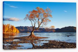 New Zealand Stretched Canvas 66913406