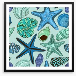 Seashells and starfish Framed Art Print 66923069