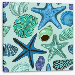 Seashells and starfish Stretched Canvas 66923069