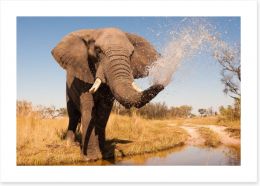 Elephant spray Art Print 67235664