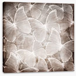 Butterfly chic Stretched Canvas 67445631