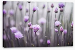 Meadows Stretched Canvas 67853313