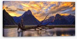 Milford Sound sunset Stretched Canvas 68049568