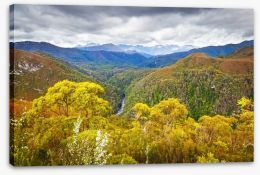 Tasmanian wilderness Stretched Canvas 68181124
