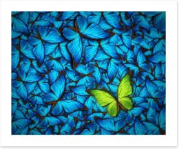 Butterflies Art Print 68641477