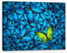 Butterflies Stretched Canvas 68641477