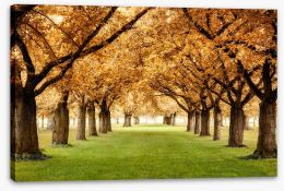 Trees Stretched Canvas 68960650