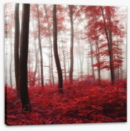 Glowing Autumn forest Stretched Canvas 69017147