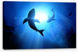 Circling Great Whites Stretched Canvas 69178156