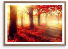 Autumn park sunlight Framed Art Print 69511191