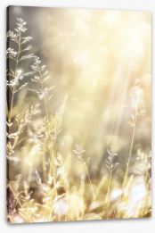 Golden days Stretched Canvas 69575163