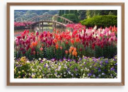 Flower garden bridge Framed Art Print 69580798