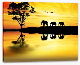 Elephant safari Stretched Canvas 70048909