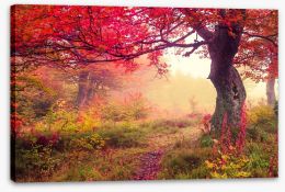 Autumn Stretched Canvas 70214313