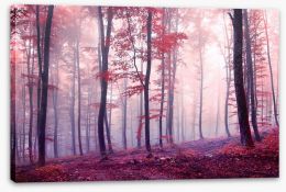 Autumn Stretched Canvas 70276803