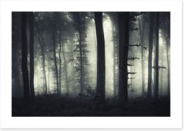 Forests Art Print 70383685
